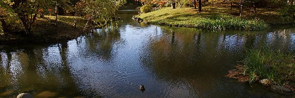 Park, Japonia, Nakajima, Jezioro