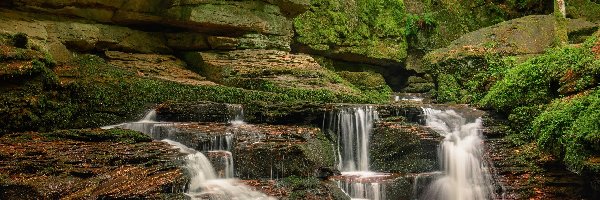 Progi skalne, Badenia-Wirtembergia, Mech, Rzeka, Schwarzwald, Potok Monbach, Skały, Niemcy, Powiat Calw, Drzewa