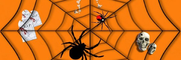 pajęczyna, pająki, Halloween