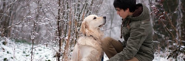 Zima, Golden Retriever, Las, Pies, Dziewczyna, Spacer, Ścieżka