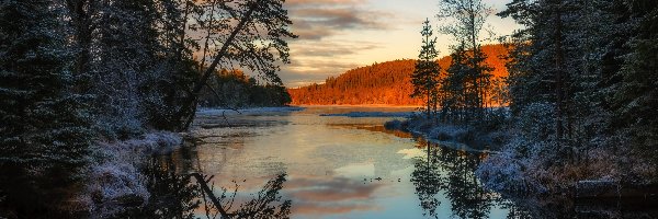 Las, Zima, Rzeka, Szwecja