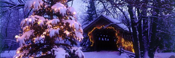 Boże, Choinka, Narodzenie, Domek, Śnieg