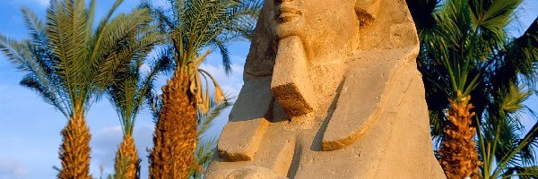Egipt, Luksor, Aleja, Sfinksów