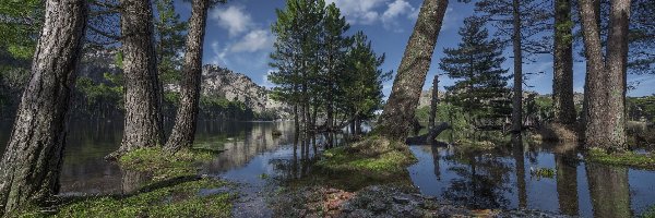 Las, Gmina Porto-Vecchio, Korsyka, Miejscowość L-Ospedale, Jezioro L-Ospedale, Drzewa, Francja