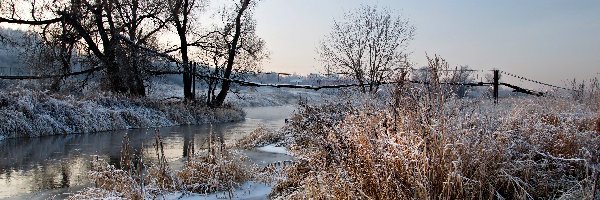 Most, Pole, Rzeka, Świt, Drzewa, Zima