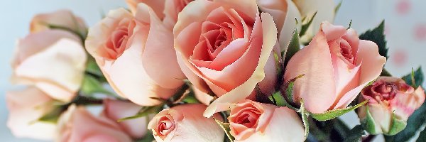 Cudownych, Róż, Różowych, Bukiet
