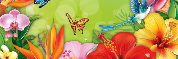 Motylki, Kwiaty, Grafika