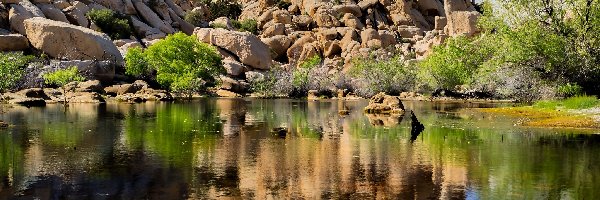 Odbicie, Park Narodowy Joshua Tree, Jezioro, Kalifornia, Stany Zjednoczone, Skały, Zbiornik wodny Barker Dam