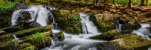 Niemcy, Wodospad Selkefall, Rzeka Selke, Las, Kamienie