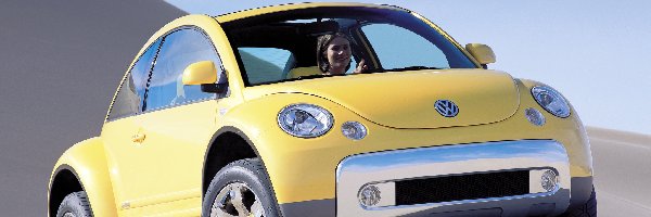 Volkswagen New Beetle