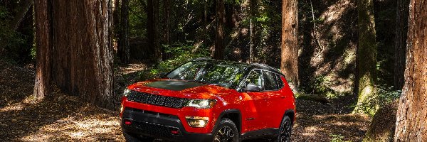 Jeep Compass Trailhawk, Las, 2017, Czerwony