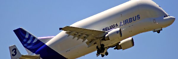 Transporter, Airbus A300 Beluga