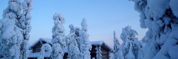 Ośnieżone, Domek, Drzewa, Zima