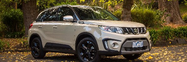 2016, Suzuki Vitara Turbo S