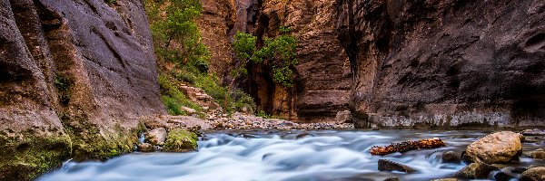 Skały, Park Narodowy Zion, Kanion Zion Narrows, Rzeka Virgin River, Stan Utah, Stany Zjednoczone