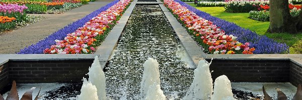 Gazony Kwiatowe, Keukenhof, Fontanna, Holandia, Park, Lisse