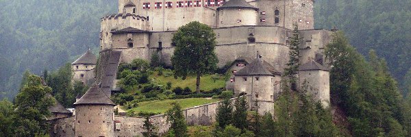 Zamek, Austria, Hohenwerfen, Góry, Zalesione