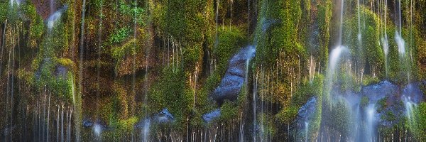 Zieleń, Omszałe, Stany Zjednoczone, Kalifornia, Kamienie, Wodospad Mossbrae Falls,
Dunsmuir, Skały