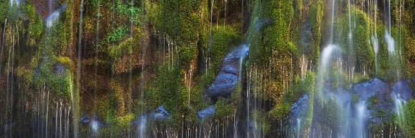 Zieleń, Omszałe, Stany Zjednoczone, Kalifornia, Kamienie, Wodospad Mossbrae Falls, 
Dunsmuir, Skały