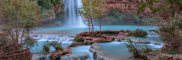 Kanion, Rzeka Havasu Creek, Stany Zjednoczone, Arizona, Park Narodowy Wielkiego Kanionu, Skały, Drzewa, Wodospad Havasu Falls