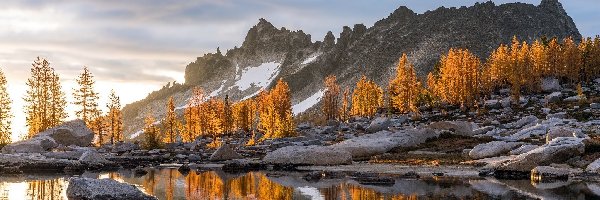 Odbicie, Góry Kaskadowe, Stany Zjednoczone, Kamienie, Rezerwat przyrody, Alpine Lakes Wilderness, Drzewa, Jesień, Jezioro Snow Lake, Stan Waszyngton