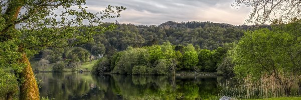 Anglia, Wiosna, Wzgórza, Drzewa, Jezioro Grasmere, Kumbria, Domy