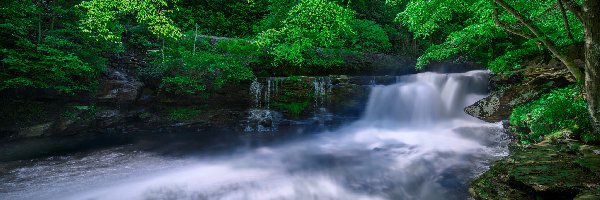 Park Narodowy New River Gorge National River, Drzewa, Las, Rzeka New, Wodospad, Stany Zjednoczone, Wirginia Zachodnia, Skały, Thurmond