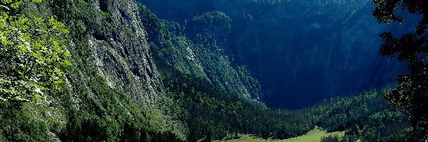 Drzewa, Park Narodowy Berchtesgaden, Niemcy, Bawaria, Lasy, Góry, Alpy Berchtesgadeńskie, Jezioro Konigssee