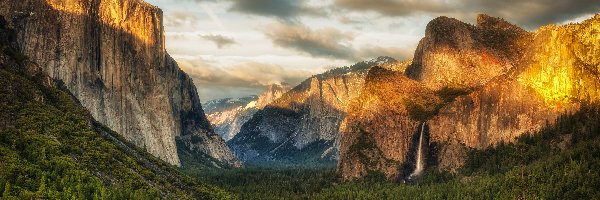 Stany Zjednoczone, Drzewa, Lasy, Dolina Yosemite Valley, Park Narodowy Yosemite, Stan Kalifornia, Wodospad