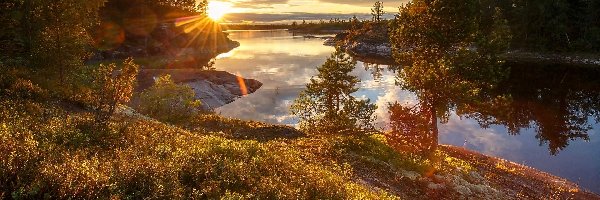 Rosja, Zachód słońca, Drzewa, Jezioro Ładoga, Jesień, Karelia, Krzewy