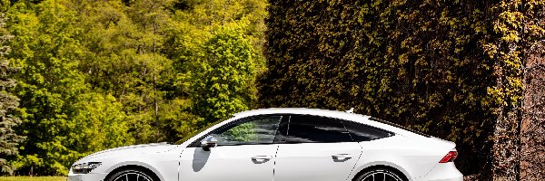 Białe, S7, Audi A7, Dom, Drzewa