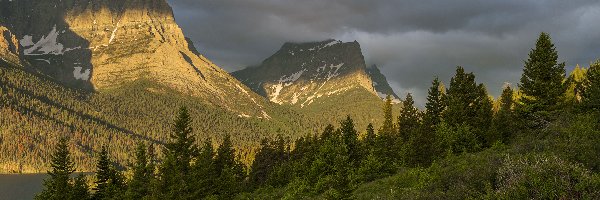 Drzewa, Góry Skaliste, Stany Zjednoczone, Stan Montana, Chmury, Las, Krzewy, Park Narodowy Glacier