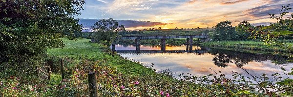 Roślinność, Most, Irlandia Północna, Strabane, Drzewa, Wschód słońca, Chmury, Rzeka Mourne River