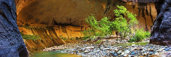 Skały, Rzeka Virgin River, Stany Zjednoczone, Stan Utah, Kanion Zion Narrows, Kamienie, Roślinność, Park Narodowy Zion