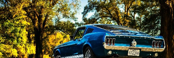 Ford Mustang Boss GT 390, Zabytkowy