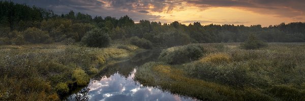 Pola, Chmury, Rosja, Obwód archangielski, Rzeka Puya, Drzewa, Lasy, Świt