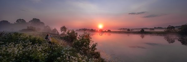 Łotwa, Kwiaty, Mgła, Drzewa, Rzeka Dubna, Łatgalia, Wschód słońca