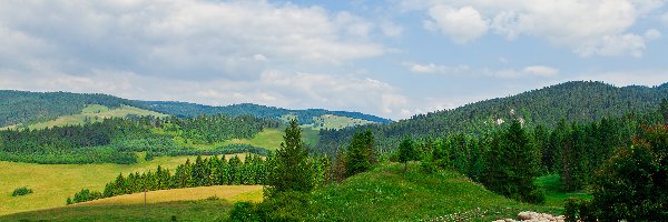 Pastwiska, Góry, Owce, Wypas, Wzgórza, Zielone