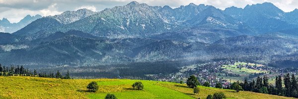 Zakopane, Drzewa, Dolina, Polska, Tatry, Góry