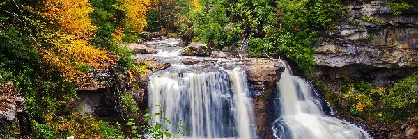 Jesień, Las, Skały, Rzeka Blackwater, Wodospad Blackwater Falls, Stany Zjednoczone, Stan Wirginia Zachodnia, Drzewa, Park stanowy Blackwater