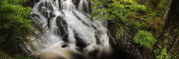 Wielka Brytania, Drzewa, Skały, Las, Wodospad Swallow Falls, Walia, Park Narodowy Snowdonia