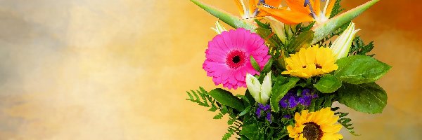 Tło, Gerbera, Słoneczniki ozdobne, Bukiet, Kwiaty, Żółte, Strelicje