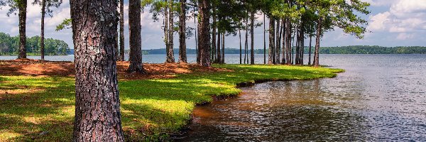 Floryda, West Point Lake, A.L. Anderson Park, Stany Zjednoczone, Jezioro, Drzewa