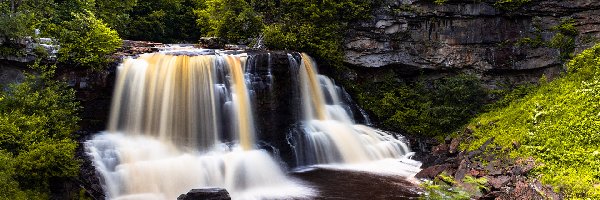 Skały, Las, Stany Zjednoczone, Wirginia Zachodnia, Drzewa, Rośliny, Park stanowy Blackwater Falls, Wodospad Blackwater
