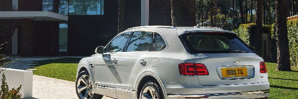 Tył, Bentley Bentayga Hybrid