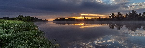 Rzeka, Pochmurny, Trawy, Wschód słońca, Poranek