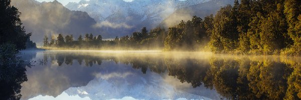 Drzewa, Alpy Południowe, Park Narodowy Góry Cooka, Nowa Zelandia, Góra Cooka, Jezioro Matheson, Wyspa Południowa, Góry