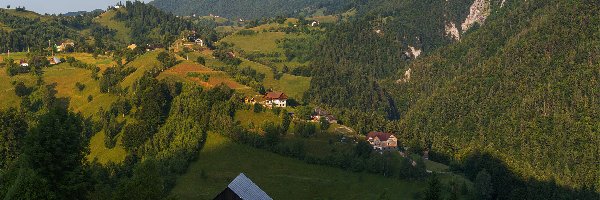 Transylwania, Domy, Góry Karpaty, Drzewa, Rumunia, Siedmiogród