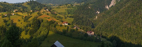 Siedmiogród, Drzewa, Transylwania, Rumunia, Domy, Góry Karpaty