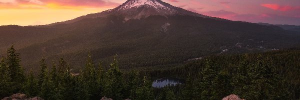 Las, Drzewa, Park Narodowy Mount Rainier, Góra Tolmie Peak, Góry Kaskadowe, Stany Zjednoczone, Stan Waszyngton, Jezioro, Skały